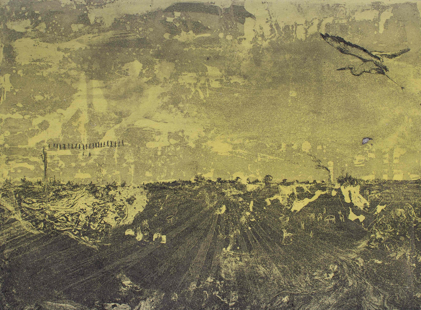 Hasan Ali Kadiwala