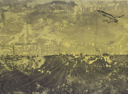 Hasan Ali Kadiwala